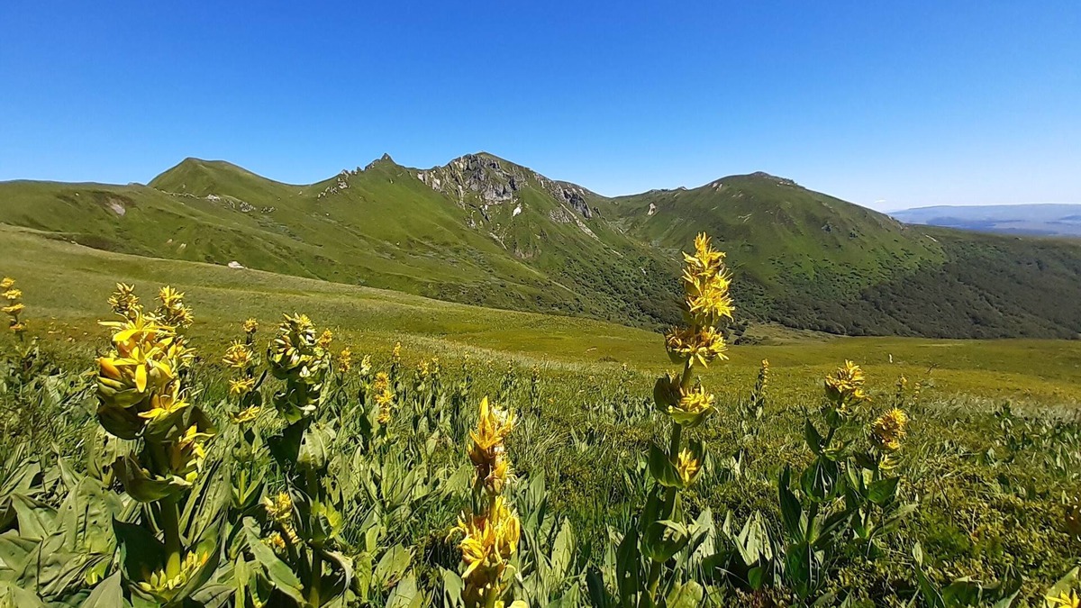 Chastreix Sancy Apartment | Apartment 6 people station Chastreix Sancy alt 1385m