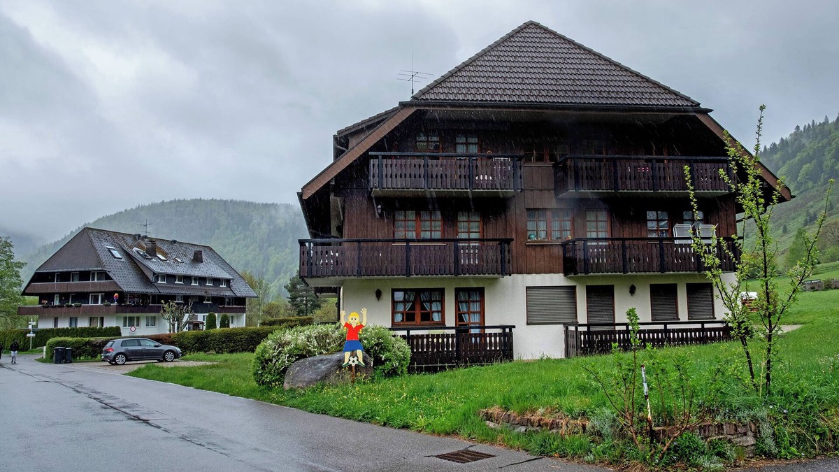 Menzenschwand-Hinterdorf Apartment | Apartment 'Am Blaubeerhang' with Mountain View, Private Terrace and Wi-Fi