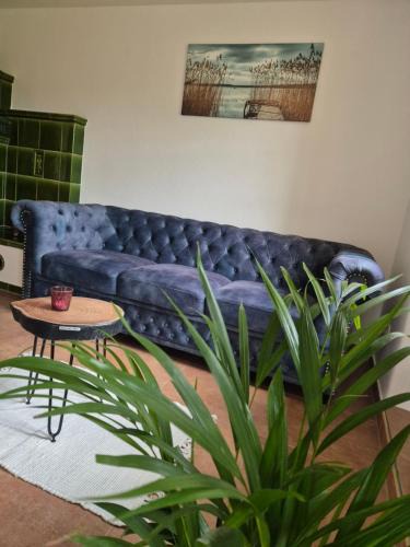 Soernewitz Apartment | Apartment am Boselgarten