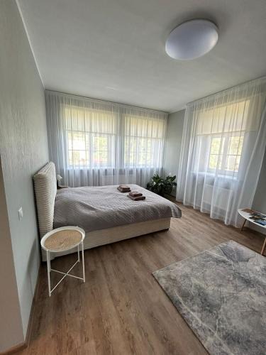 Kurzeme Apartment | Apartment AMBER