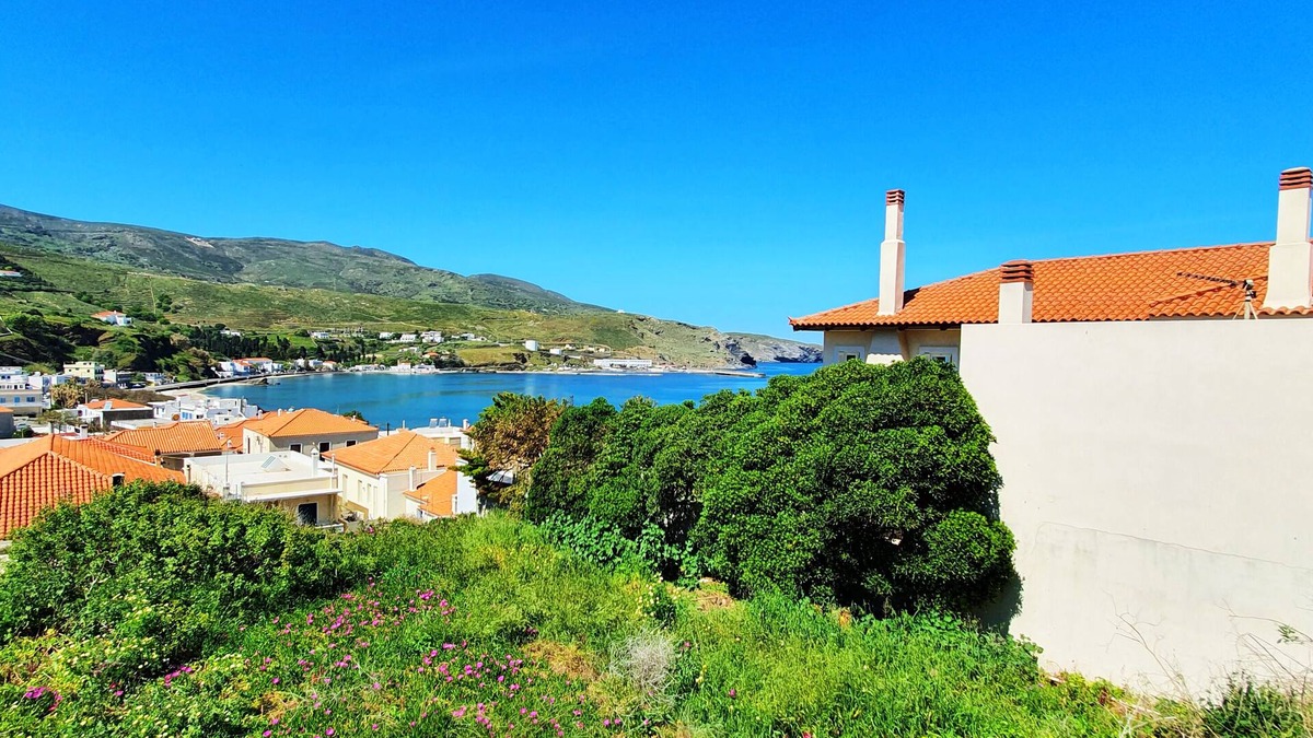 Paleopolis House | Apartment Andros - Lasia