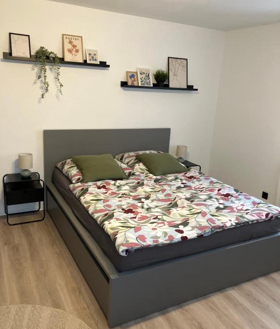 Inzigkofen Apartment | Apartment Anna