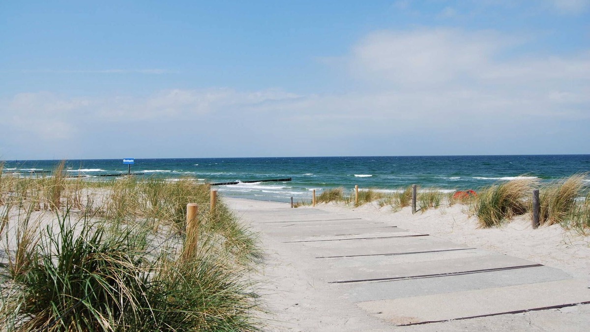 Markgrafenheide Apartment | Apartment - Apartment directly on the beach