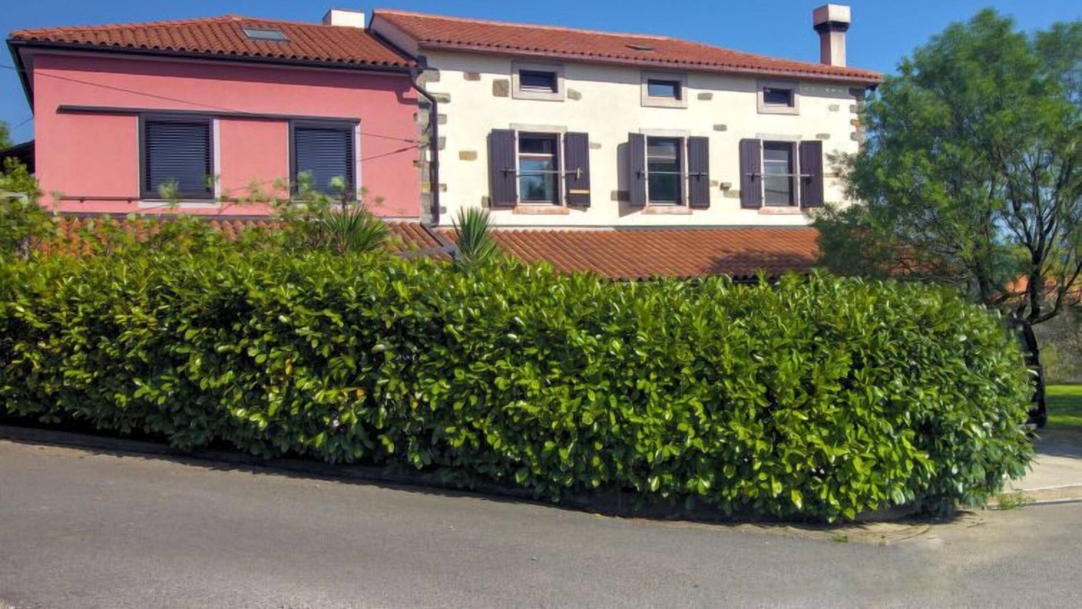 Truske Apartment | Apartment Apartment Himalaja in Marezige - 4 persons, 1 bedrooms