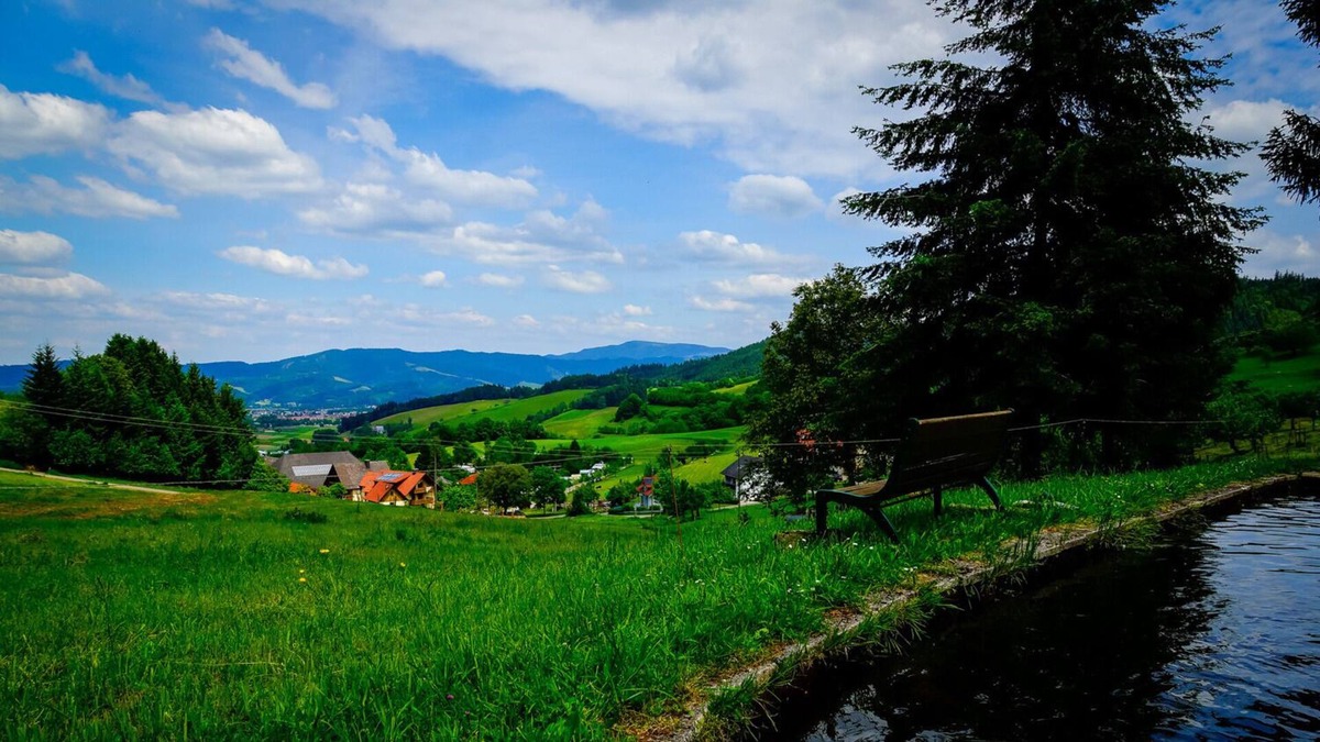 Oberried Apartment | Apartment / app. for 4 guests with 50m² in Oberried (125219)