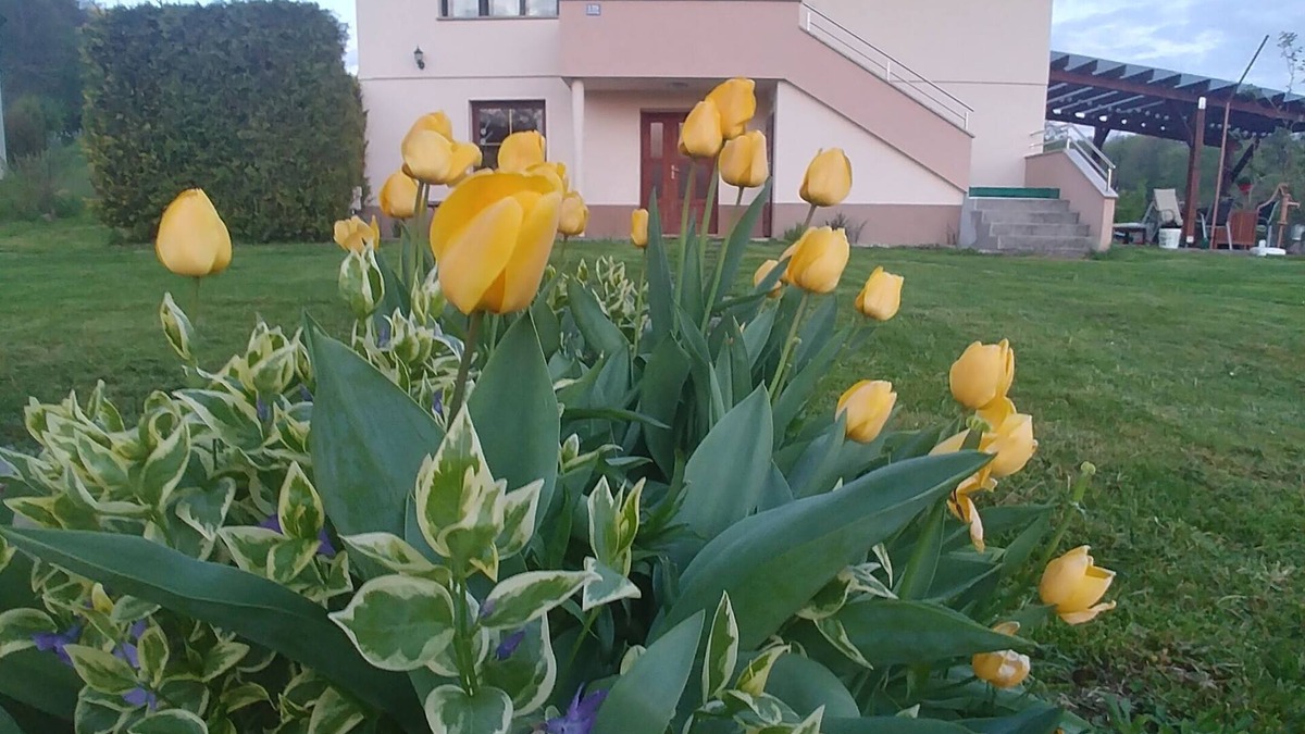 Grabrovnik Apartment | Apartment Arena (4+2), very close to the wellness centra Sv. Martin