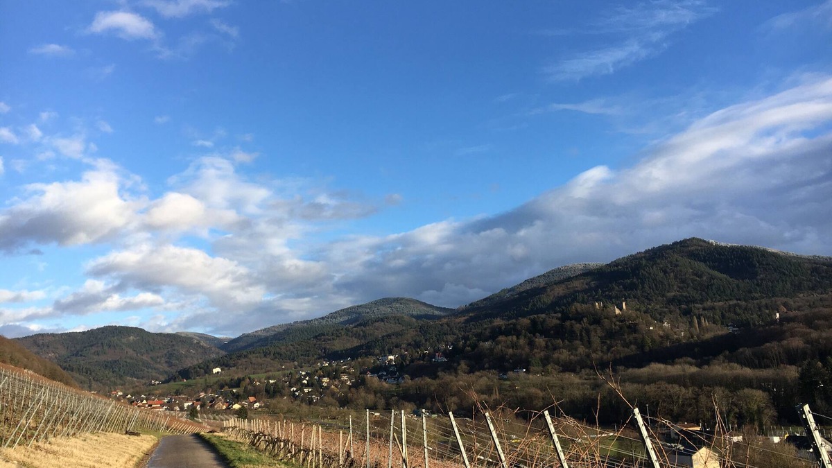 Badenweiler Apartment | Apartment at the park of the senses