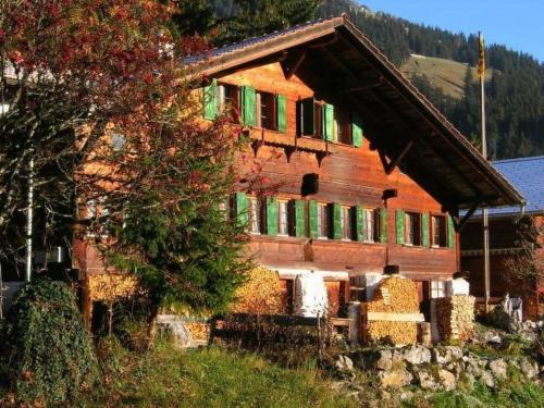 Oberwil im Simmental Apartment | Apartment Auf der Mauer by Interhome