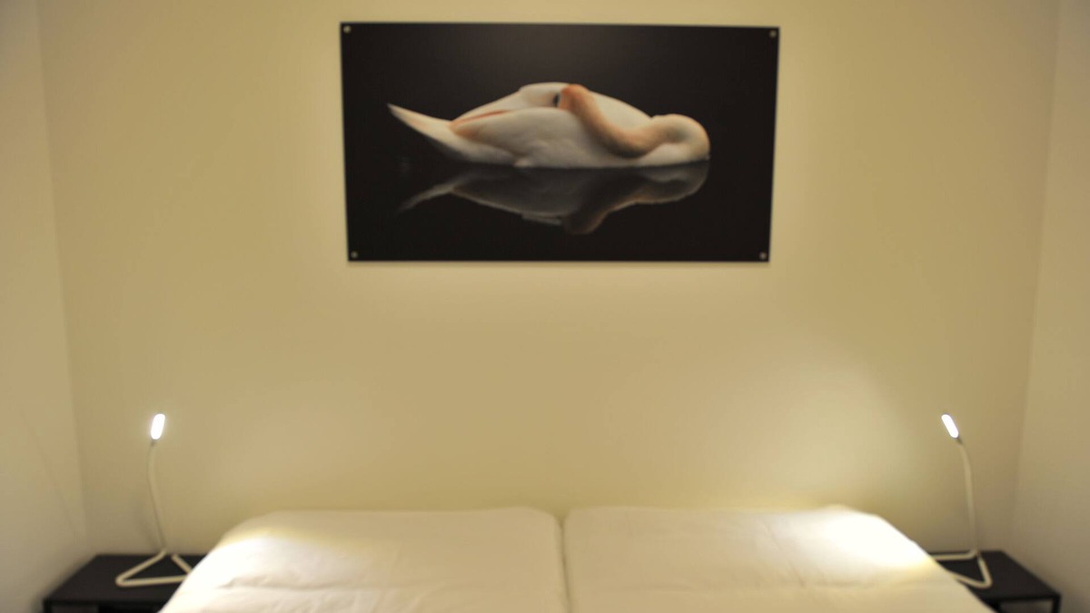 Assebroek Apartment | Apartment B