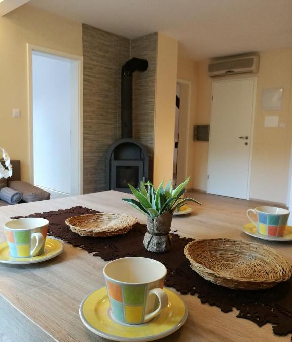 Celje Apartment | Apartment Belaj