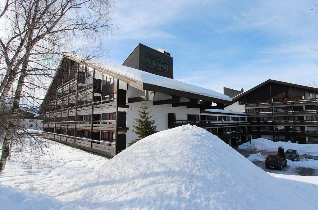 Seefeld in Tirol Apartment | Apartment Birkenwald-2 by Interhome