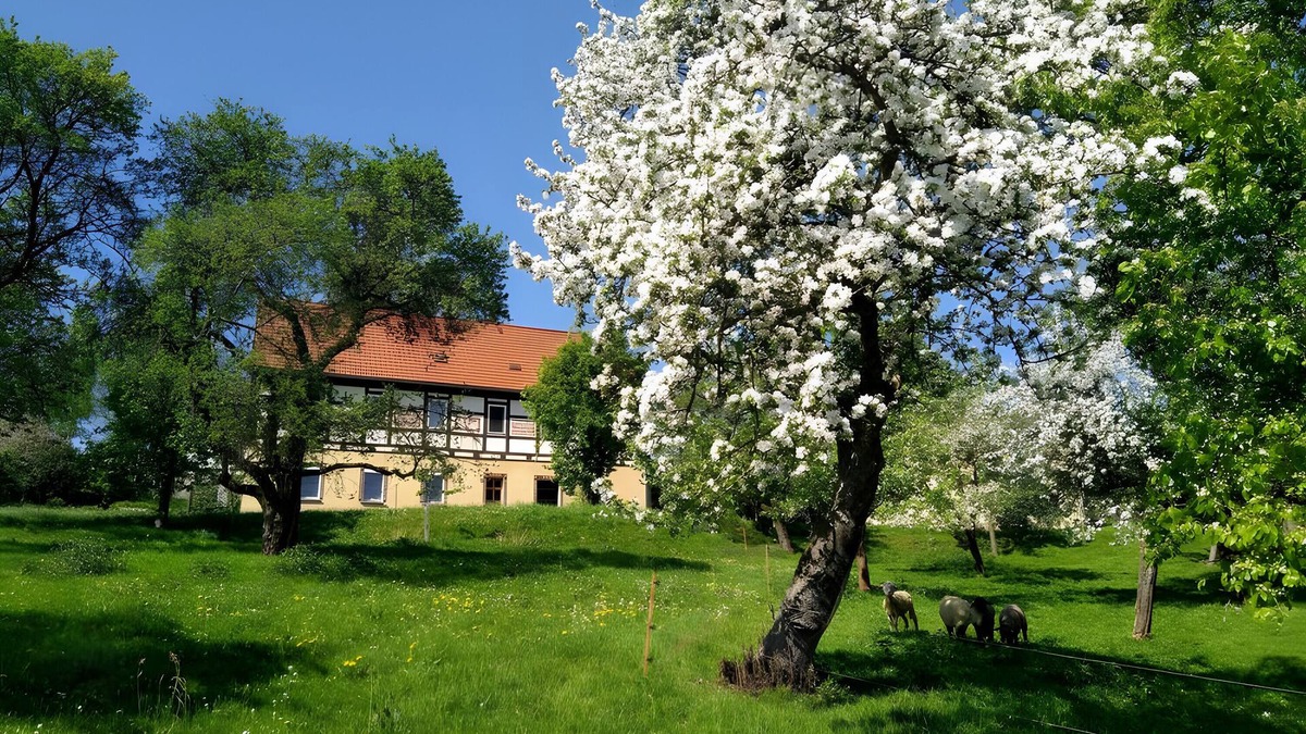 Waschleithe Apartment | Apartment 'Böhme' with Mountain View, Private Terrace and Wi-Fi