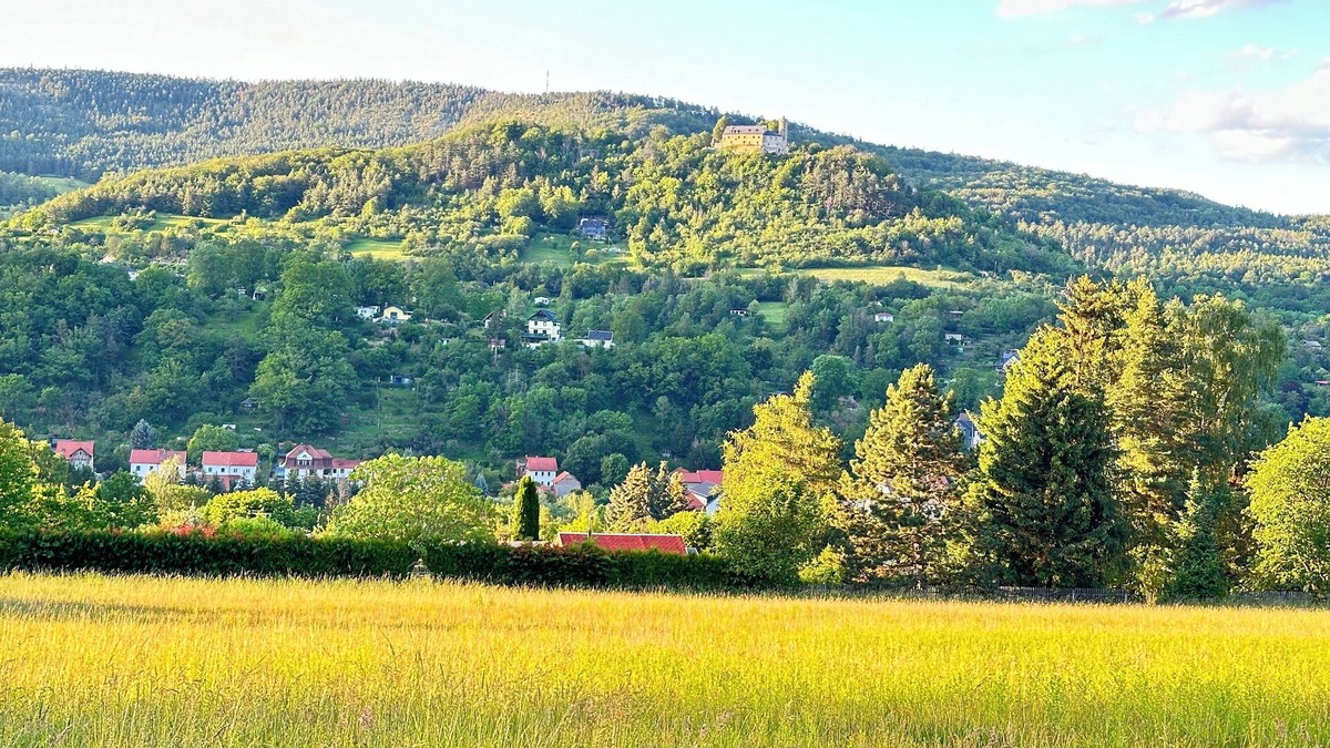 Bad Blankenburg Apartment | Apartment Burgblick in a quiet and central location in the villa district