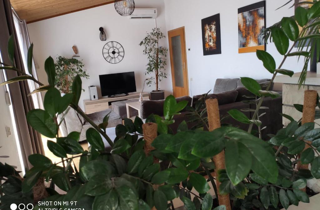 Ratac Apartment | Apartment Burich
