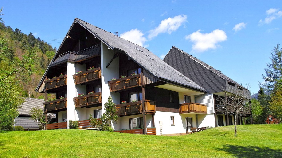 Menzenschwand-Hinterdorf Apartment | Apartment C1 f. 5 Pers. + Toddler