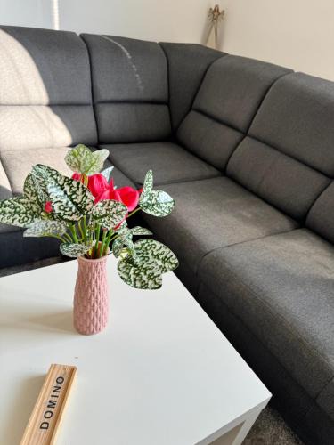 Trnava Apartment | Apartment C25