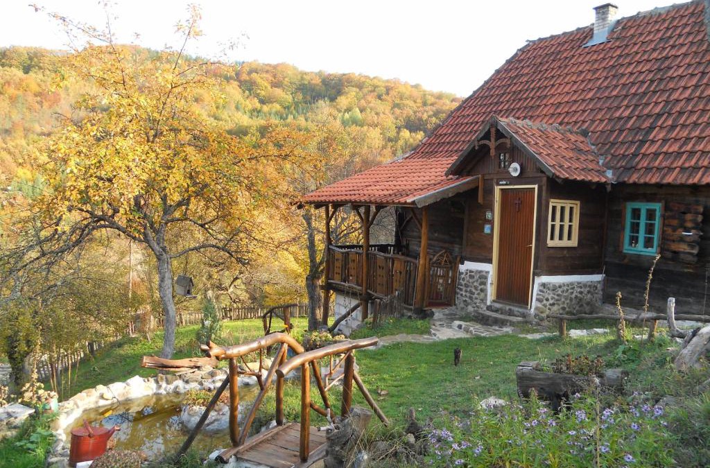 Mokra Gora Apartment | Apartment Cerova Kosa