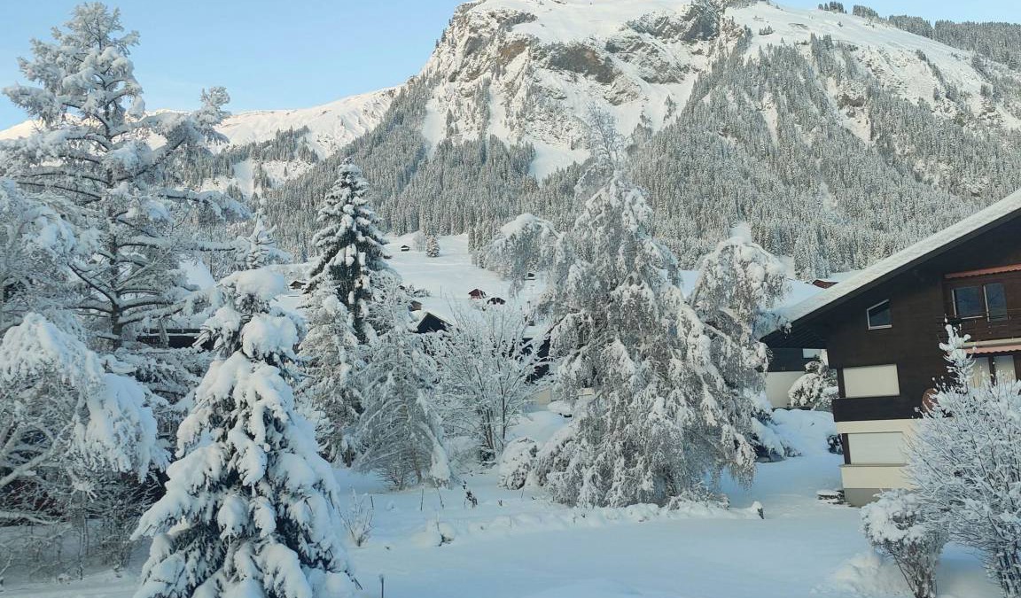 Lenk Apartment | Apartment ∙ 1 bedroom ∙ 5 guests