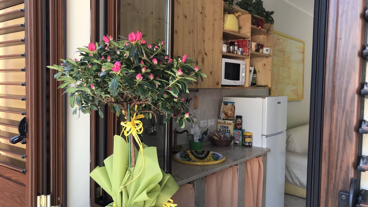 Stazzo Apartment | Apartment-close to Taormina, Etna, Catania, kitchen, parking, wifi,