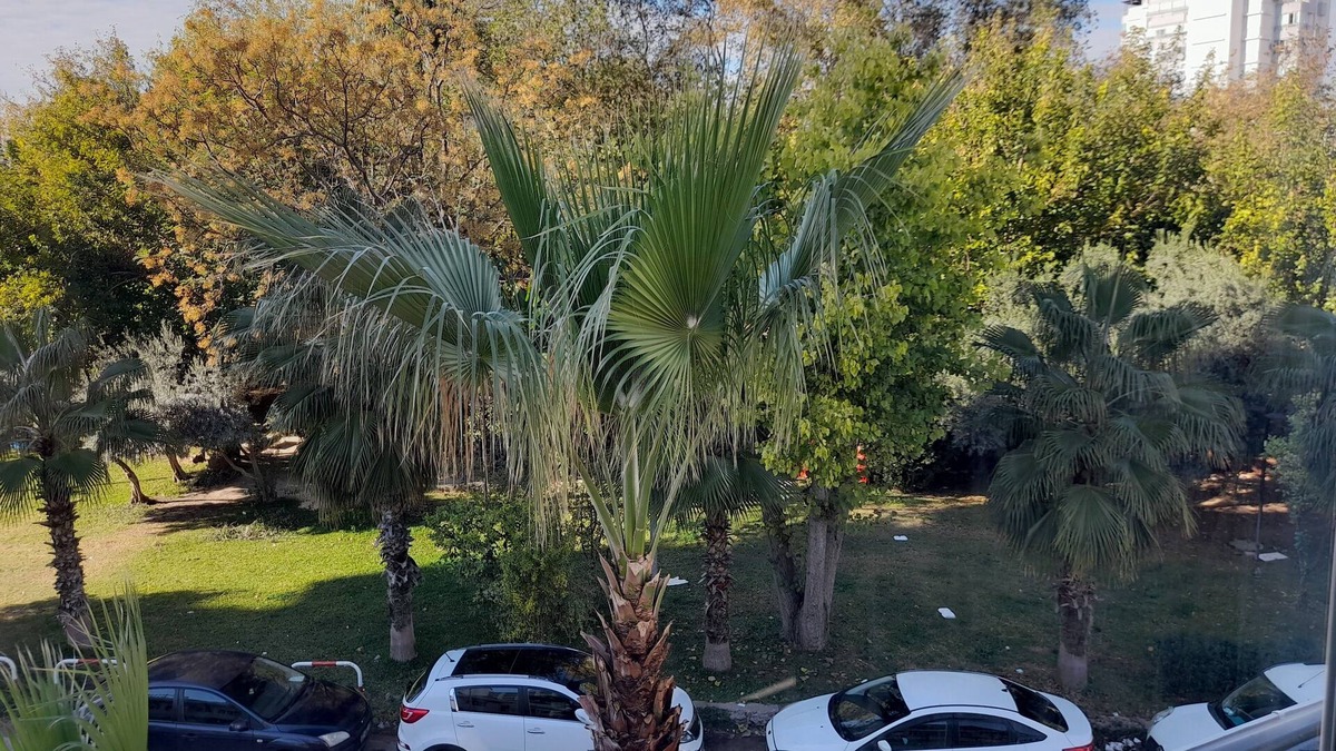 Eski Lara Villa | Apartment close to the sea in themostcentralofcity