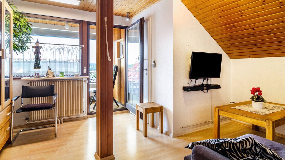 Bingen Apartment | Apartment 'Dachwohnung Schneider Bingen' with Balcony, Wi-Fi and Air Conditioning