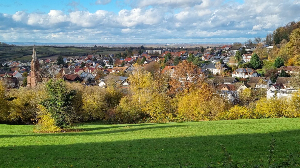 Friesenheim Apartment | Apartment "Waldblick" with Mountain View, Private Terrace & Wi-Fi