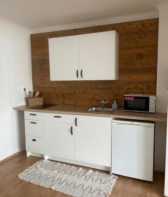 Dubnica nad Vahom Apartment | Apartment Dubnica-Prejta 2