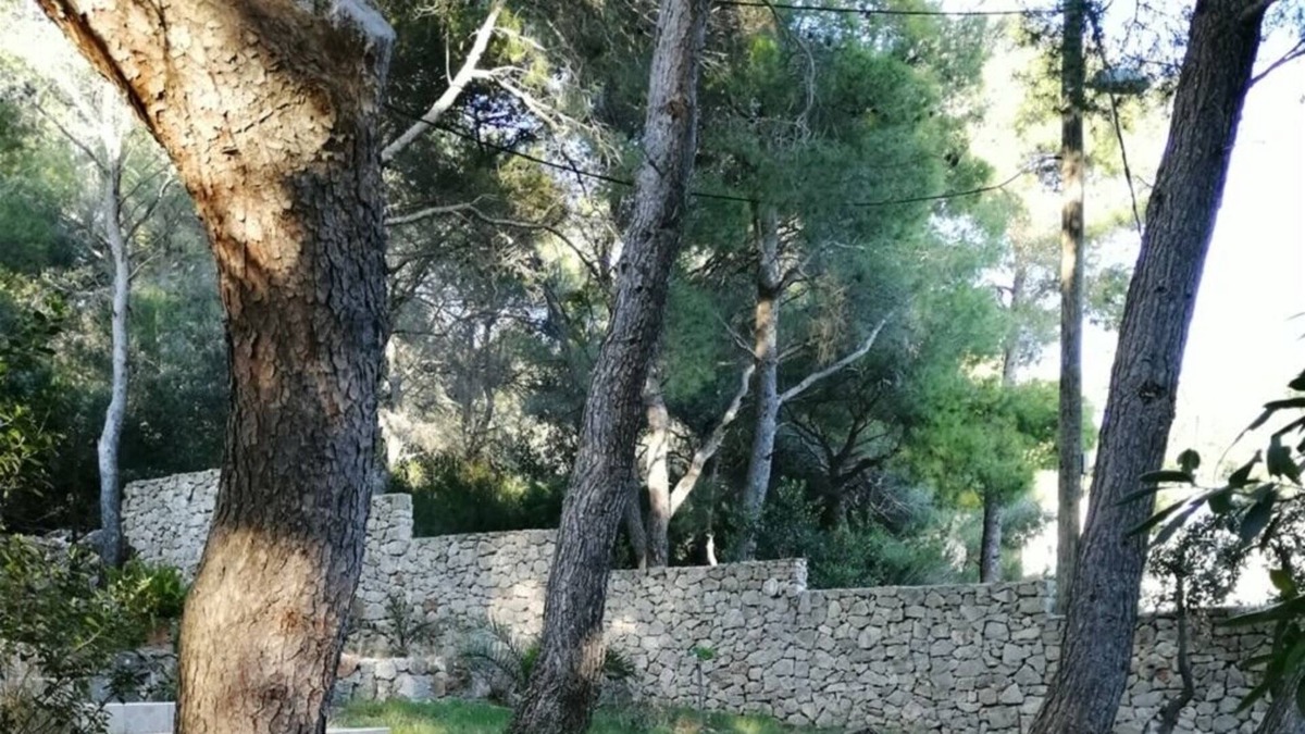 Rukavac Apartment | Apartment Eli - for nature lovers: A1(4+1) - Cove Rukavac, Island Vis, Croatia