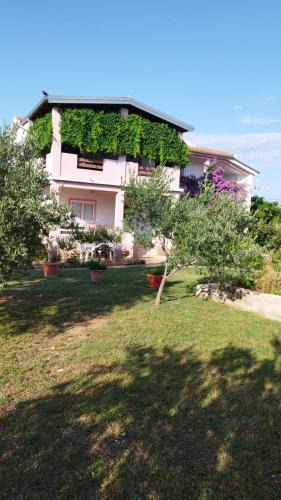Podgradina Apartment | Apartment Ema