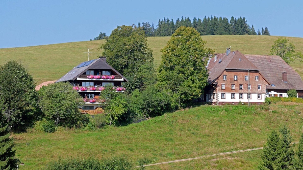 Breitnau Apartment | Apartment Feldbergblick, with balcony in sunny secluded location