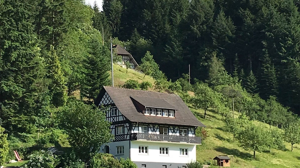Oberkirch Apartment | Apartment 'Ferienwohnung Hesselbach' with Private Terrace, Shared Garden and Wi-Fi
