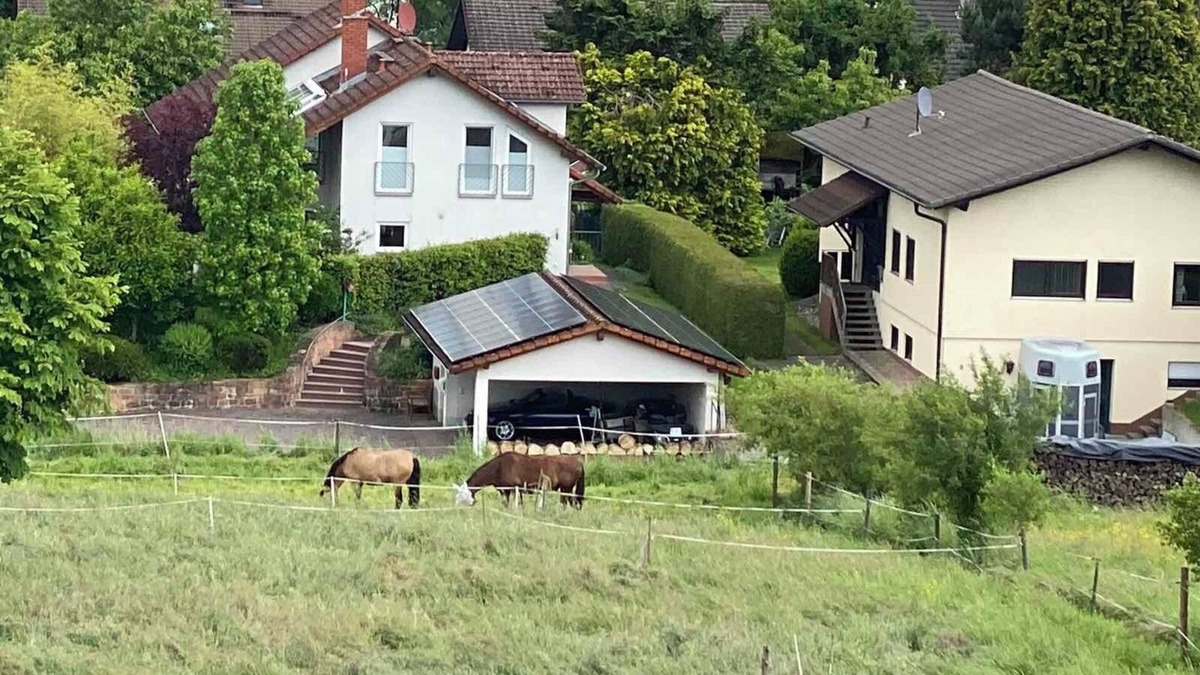 Erbach Apartment | Apartment 'Ferienwohnung Auf Der Höhe' with Mountain View and Wi-Fi