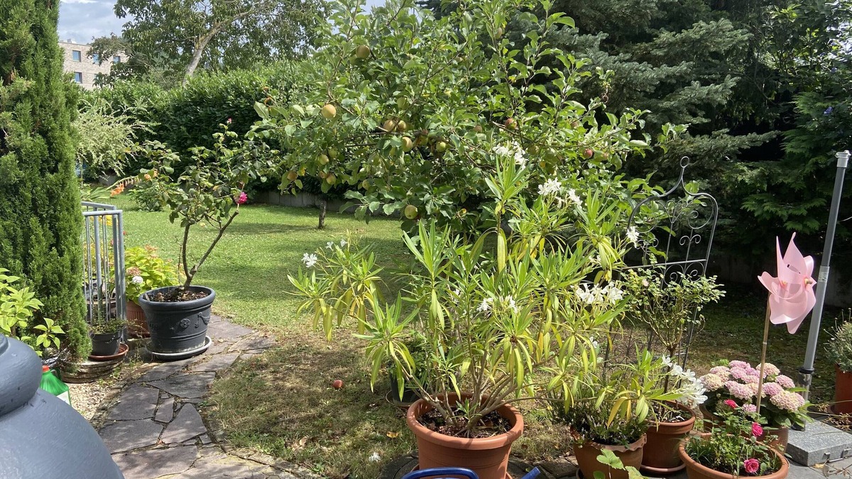 Staufen im Breisgau Apartment | Apartment 'Ferienwohnung 1 36m2' with Shared Garden, Balcony and Wi-Fi