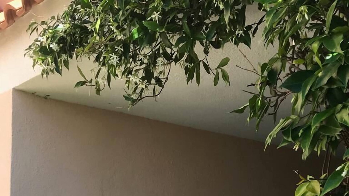 Olbia Apartment | Apartment/ flat - Olbia tempio