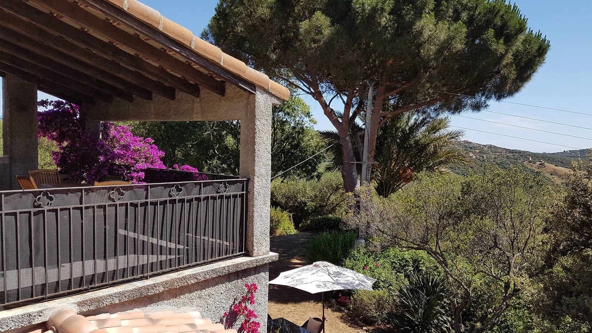Serra-di-Ferro Apartment | Apartment/flat - SERRA DI FERRO