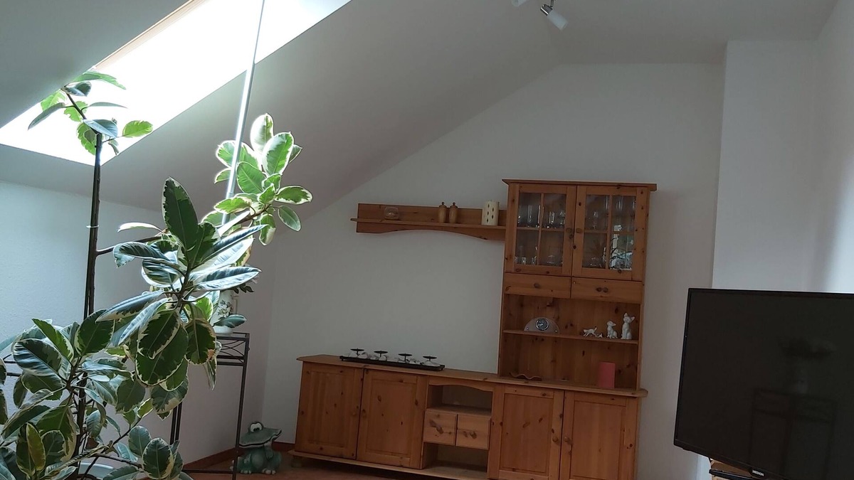 Werder Apartment | Apartment flower city Werder-Havel
