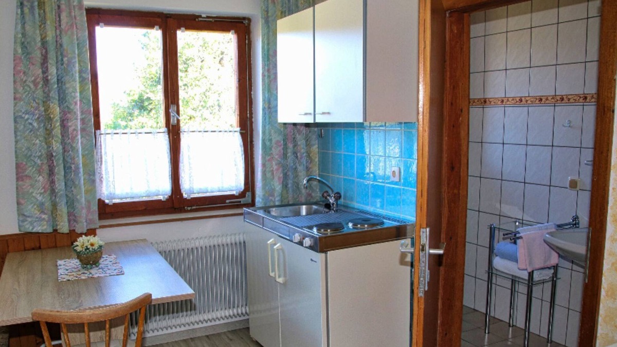 Steinbach am Attersee Apartment | Apartment for 2-3 people - Bauernhof-Pension Fam. Stadler