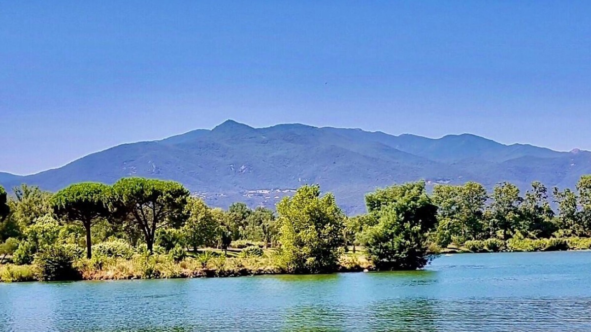 Le Boulou Apartment | Apartment for cures or vacations, le boulou 6 persons, 2 bedrooms.
