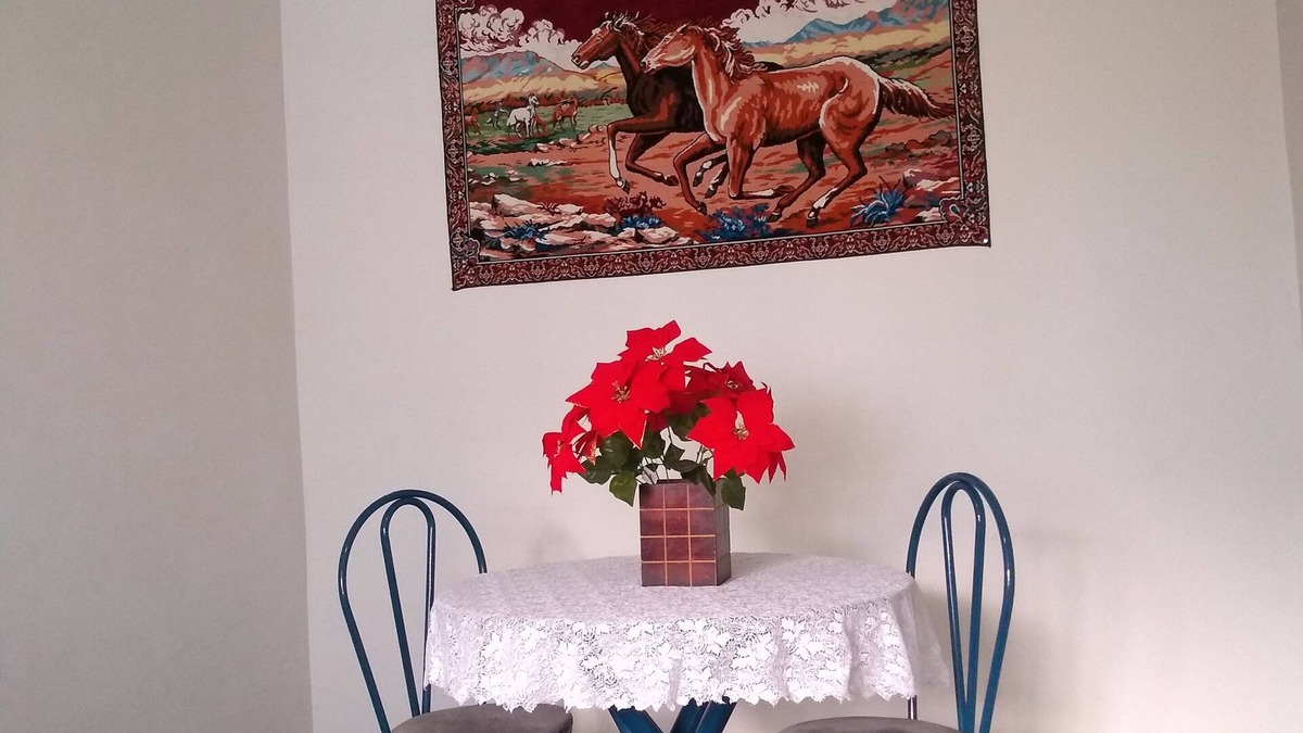 Senador Vasconcelos Apartment | Apartment for sale in Campo Grande