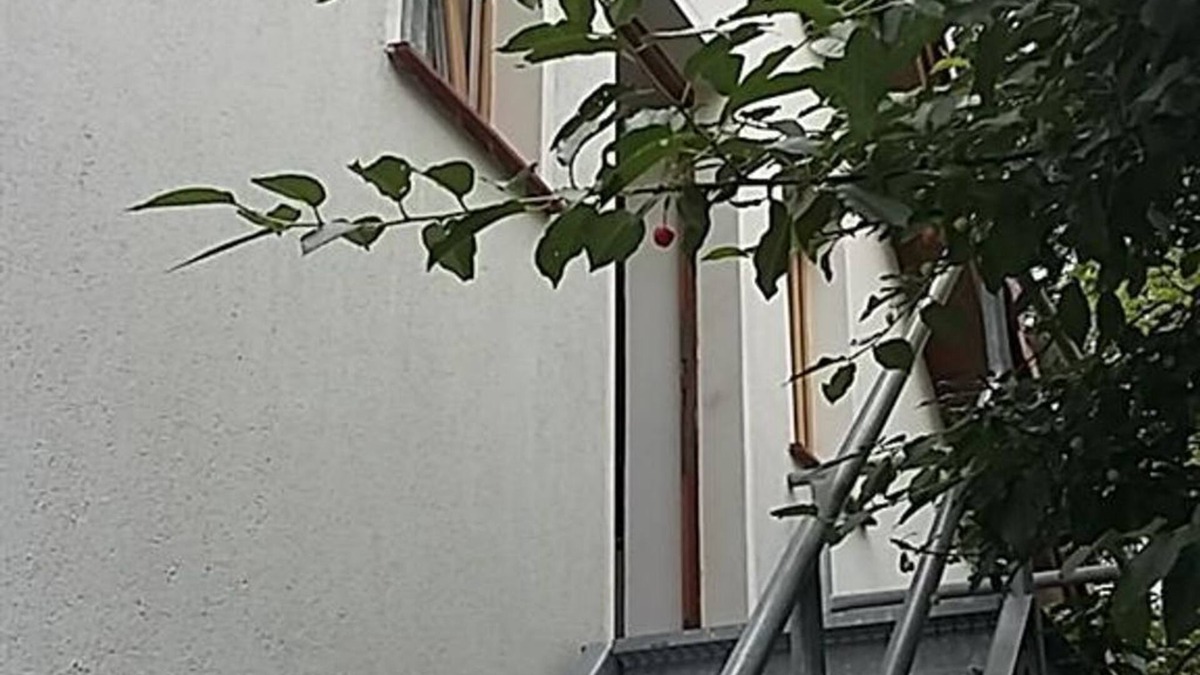 Olbersdorf Apartment | Apartment Franze