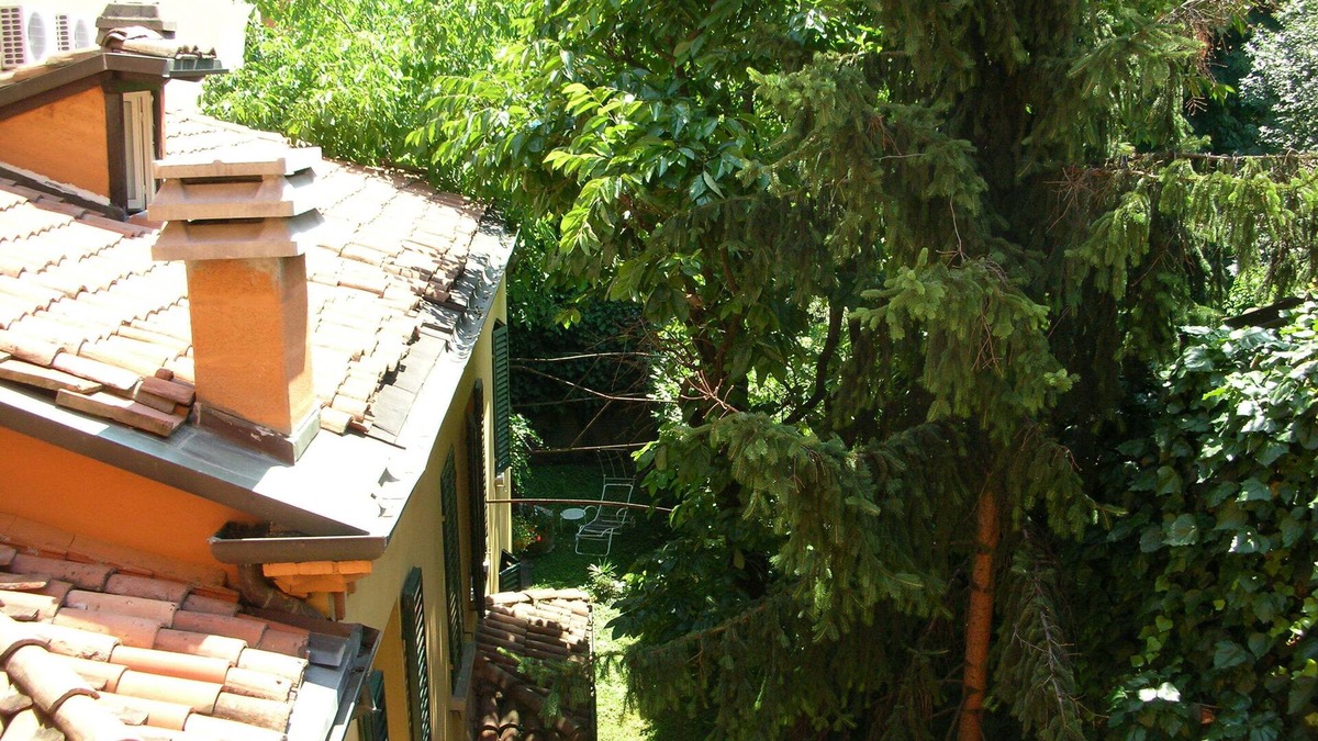 Historic Center Apartment | APARTMENT FULL TOWN CENTRE WITH VERY GREEN AND QUIET