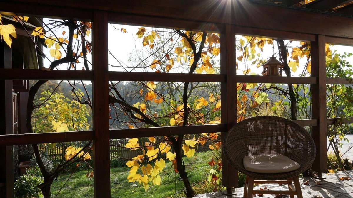 Kapfenstein Apartment | Apartment garden view - Landhaus zum Caphenstain