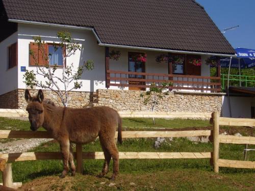 Poljanak House | Apartment Goran