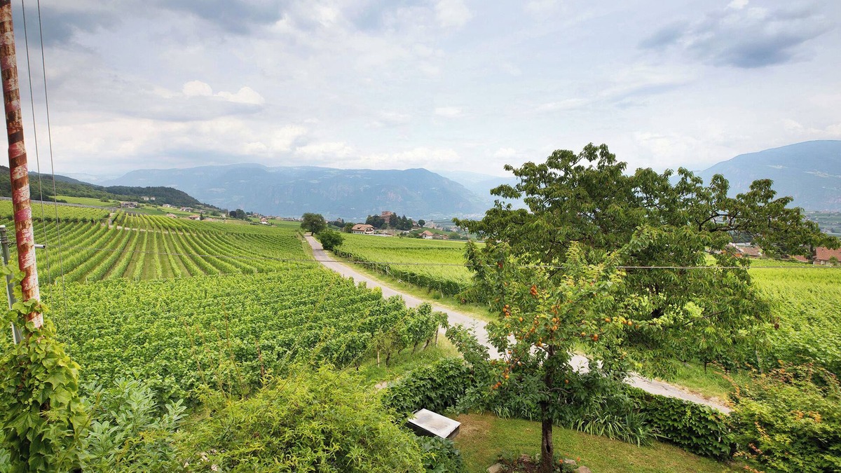 Berg/Monte Apartment | Apartment 'Harmony Apt 2' with Mountain View, Shared Garden and Wi-Fi