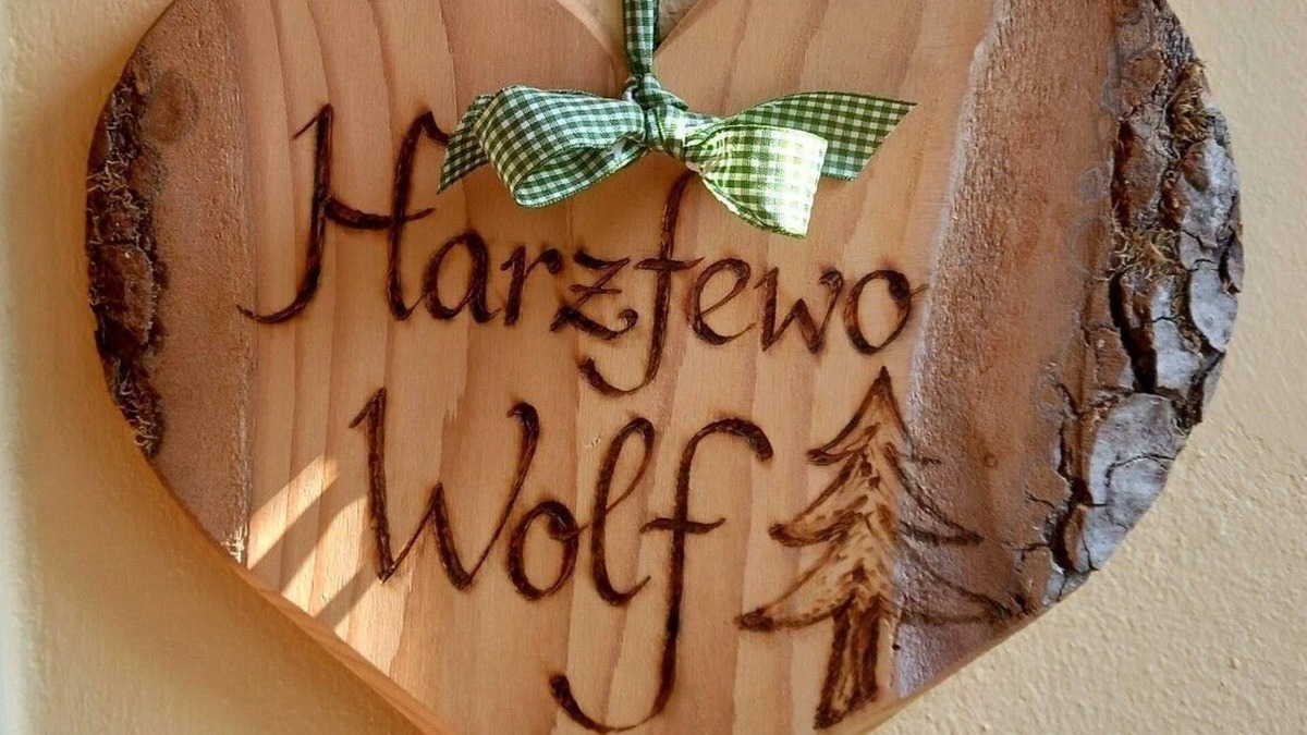 Bad Harzburg Apartment | Apartment Harz-Fewo Wolf