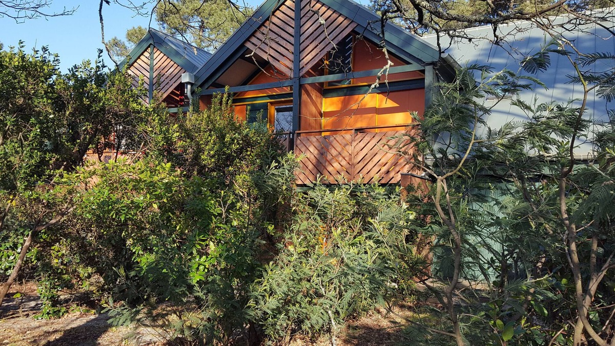 Claouey Apartment | Apartment house 52m2, 3p. between basin and ocean. Peninsula of Cap Ferret