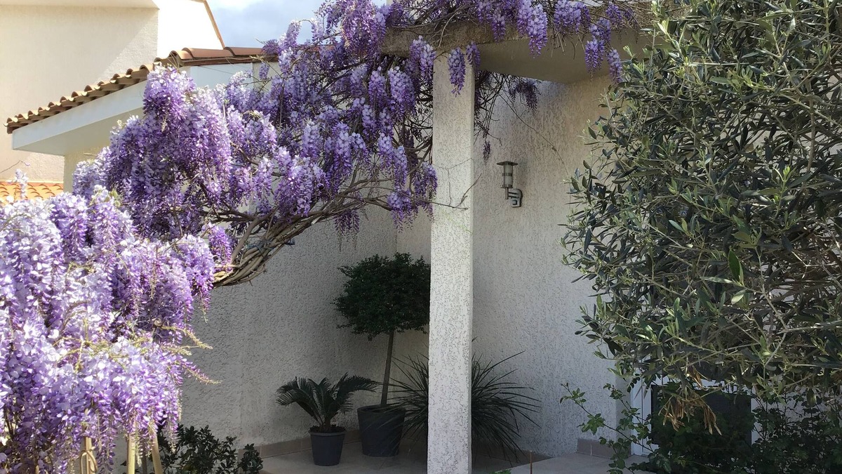 Sorede Apartment | Apartment in a haven of peace 10 mm from the Mediterranean Sea.