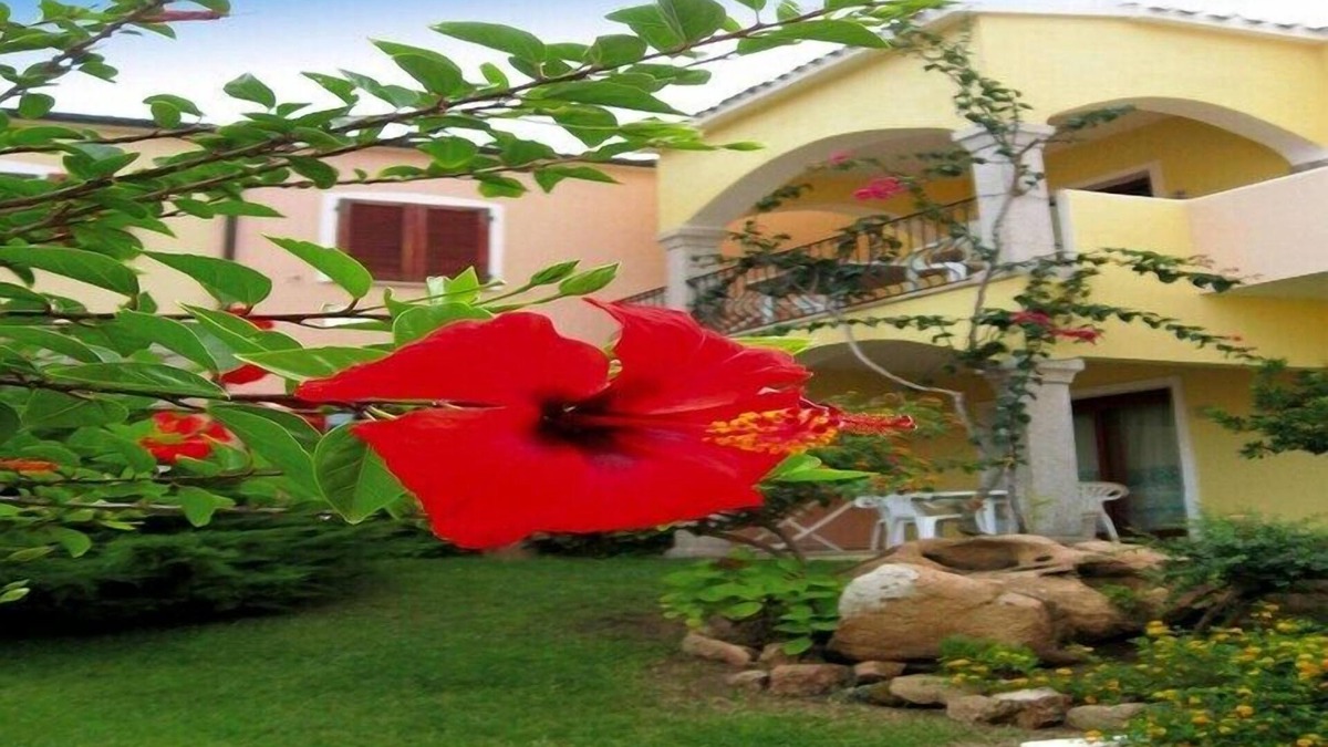 Badesi Apartment | Apartment in Badus with communal Pool