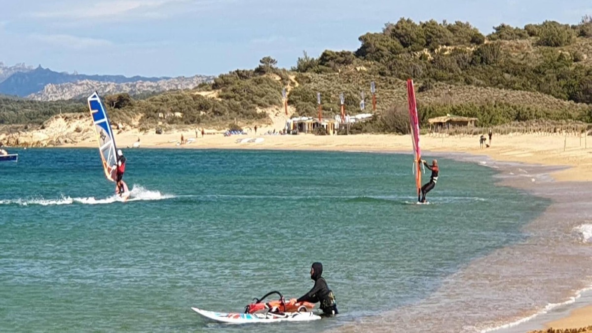 Porto Pollo Apartment | Apartment in Porto Pollo near Surf Paradise