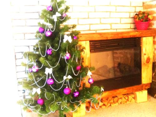Kosuv Stary Apartment | Apartment in the city center mini